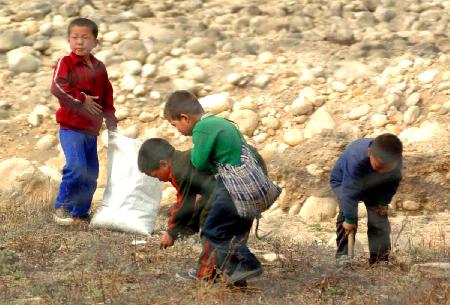 먹을 것을 찾아 풀뿌리를 캐고 다니는 북한 어린이들.
