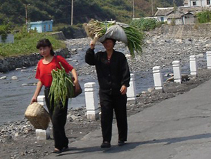 북한의 농촌 여성들이 농산물을 팔기 위해 장마당으로 가고 있다. AFP PHOTO