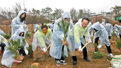 도로공사 임직원들이 지난 3월 12일 수원 나들목 녹지대에서 통일희망나무 심기 첫 행사를 개최했다. /한국도로공사 제공