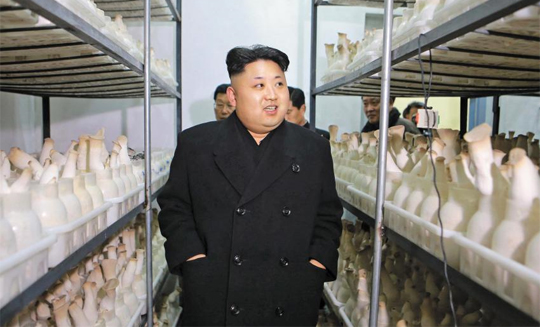 버섯공장 찾아간 김정은 - 김정은 북한 노동당 제1비서가 평양에 새로 건설된 ‘버섯공장’을 시찰했다고 노동신문이 10일 보도했다. /노동신문
