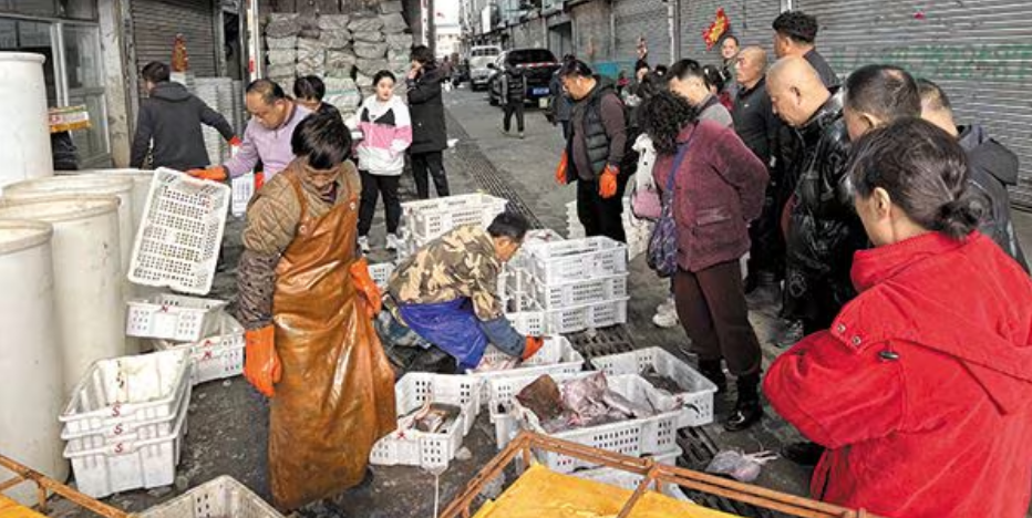 중국서 팔리고 있는 北 수산물 - 한국 식탁에 오른 바지락, 오징어 등 일부 중국산 수산물은 중국 가공 회사들이 북한 노동자 최소 수백 명을 고용해 수출한 것으로 나타났다. 사진은 지난해 4월 중국 랴오닝성 단둥시 둥강의 한 수산물 도매시장에서 북한산 추정 제품을 비롯해 수산물을 판매하는 모습. /단둥=이벌찬 특파원